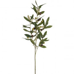 Olivenzweig grün-braun