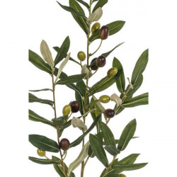 Olivenzweig grün-braun